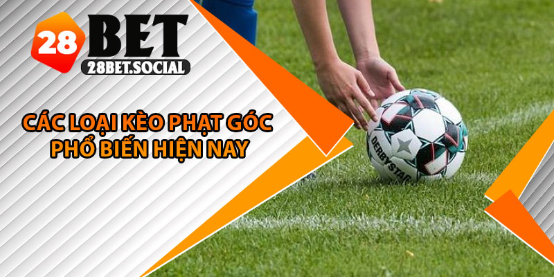 Kèo Phạt Góc – Cách Đặt Chuẩn, Dễ Thắng, Lợi Nhuận Cao 3 Các loại kèo phạt góc phổ biến hiện nay