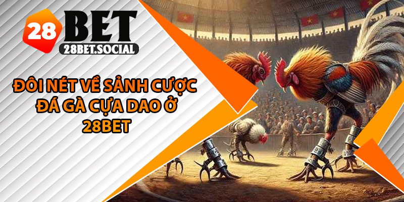 Đá Gà Cựa Dao – Trải Nghiệm Cảm Giác Hồi Hộp Trong Từng Giây 2 Đôi nét về sảnh cược đá gà cựa dao ở 28bet