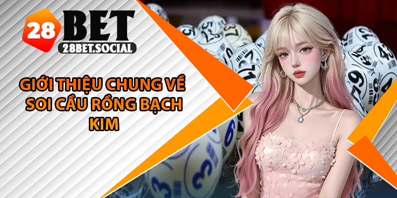 Rồng Bạch Kim – Dự Đoán Lô Đề Chính Xác Với Cập Nhật 24H 2 Giới thiệu chung về soi cầu rồng bạch kim