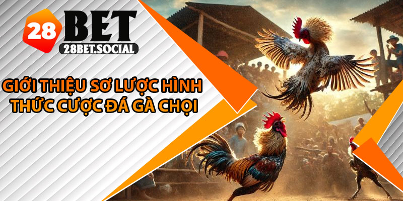 Đá Gà Chọi – Thế Giới Cược Kê Đầy Máu Lửa Và Hấp Dẫn 2 Giới thiệu sơ lược hình thức cược đá gà chọi