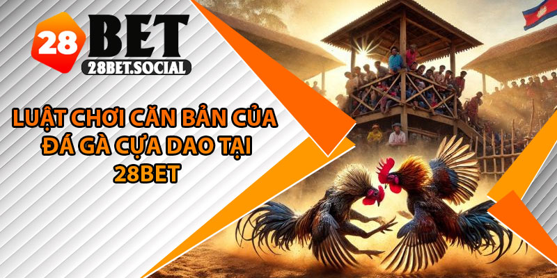Đá Gà Cựa Dao – Trải Nghiệm Cảm Giác Hồi Hộp Trong Từng Giây 3 Luật chơi căn bản của đá gà cựa dao tại 28Bet